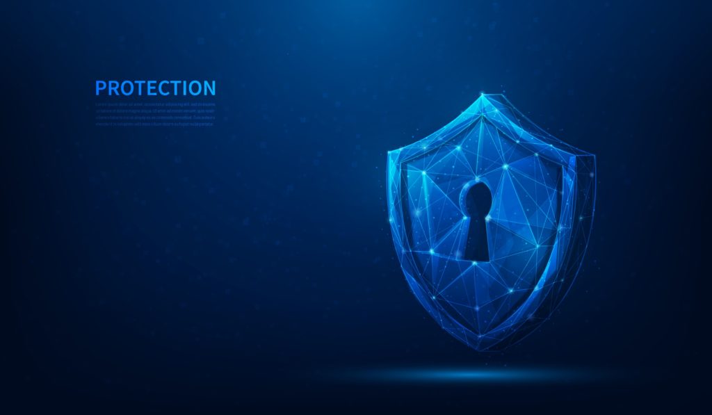 QV Polyshell Blog